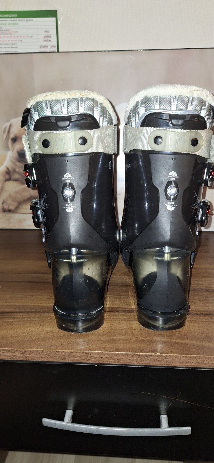 Обувките са Alpina EVE 10 Flex 80-100 Soft Entry 4DRY
  Flex