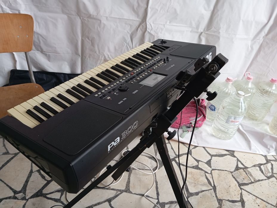 Продавам корг па 300