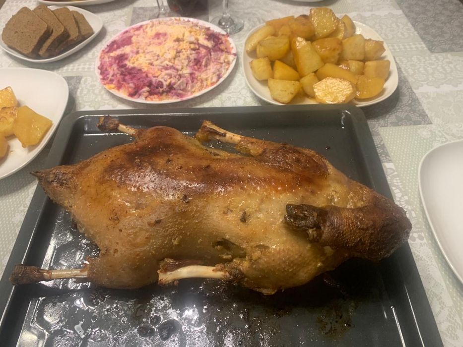 Продаем Гуси из Петпропавловска