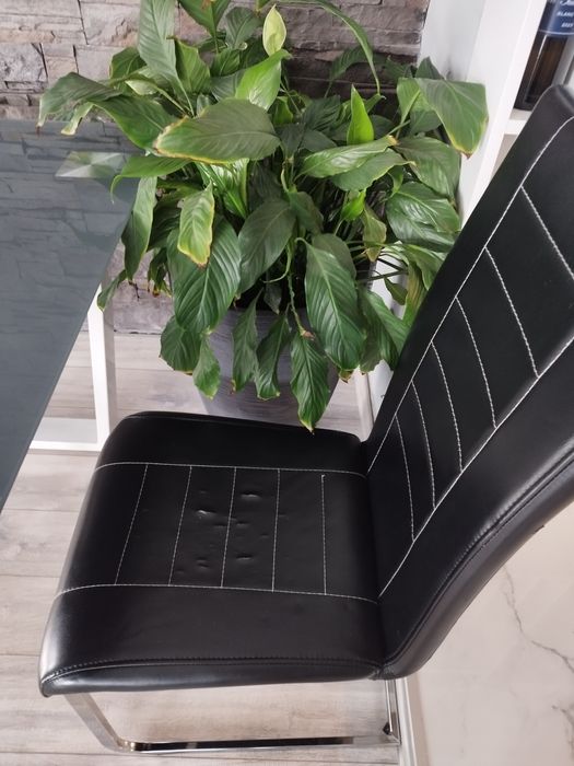 Трапезни столове