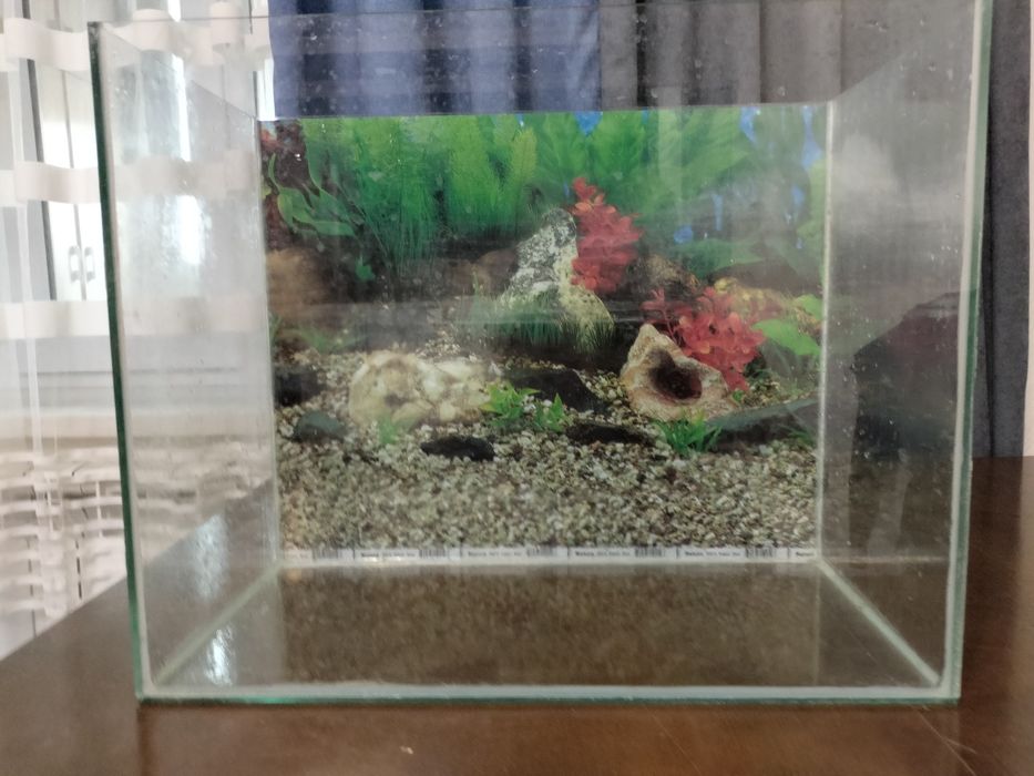 Домашний аквариум с полным набором для аквариума