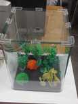 Acvariu Dennerle Nano Cube 20L complet