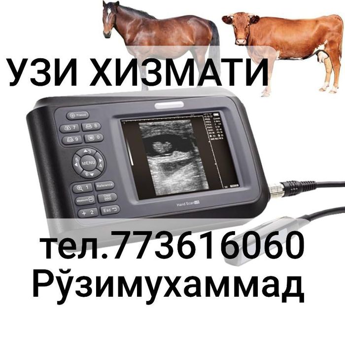 Хайвонлар учун УЗД(узи) хизмати