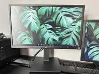 Monitor LED LG 23.8” 24BK55YP-B cu garantie