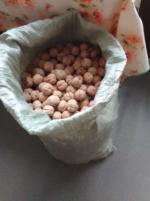 Продам мешок гретских орехов .