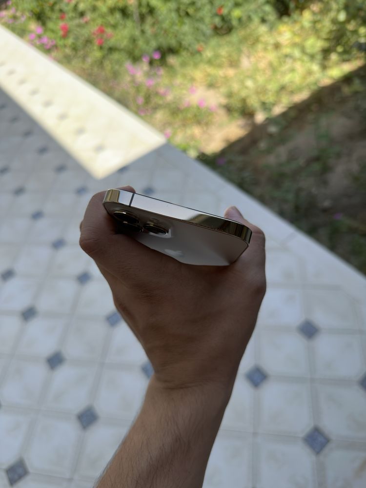 Iphone 12 pro max gold