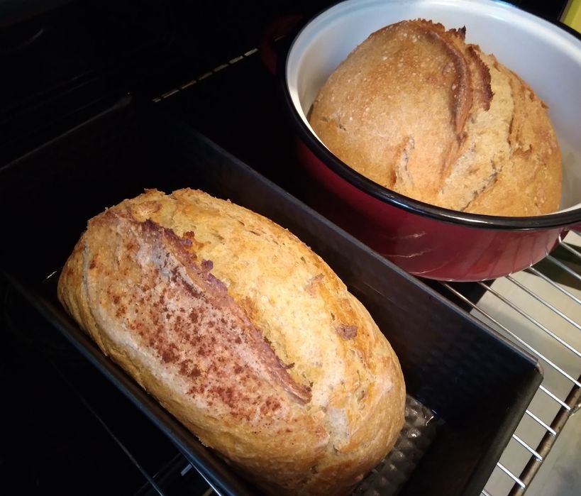 Paine cu maia de casa