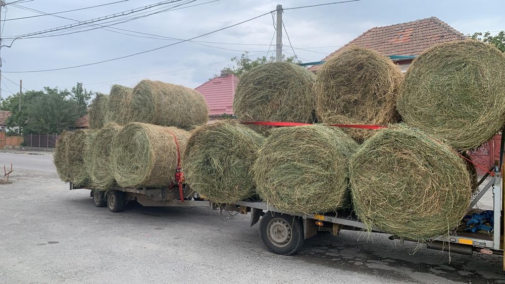 Baloti de lucerna coasa a treia