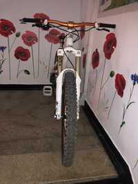 Bicicleta Morewood