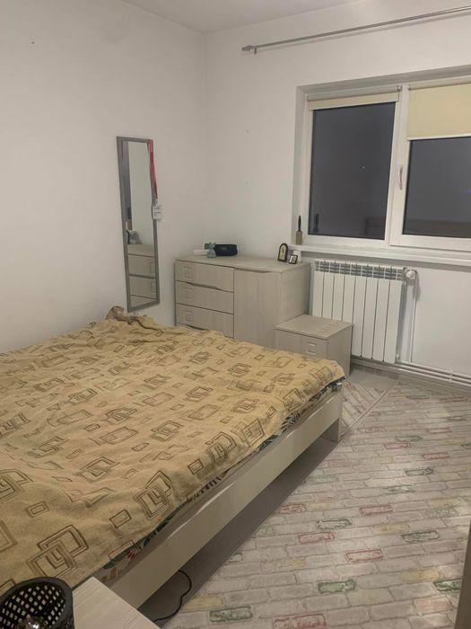 Chirie apartament pet-friendly