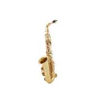 NOU Set Saxofon Alto Parrot, include cutie , Factura si Garantie