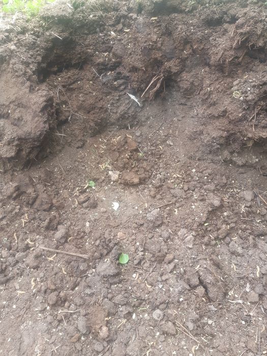 Перегнои Чернозём