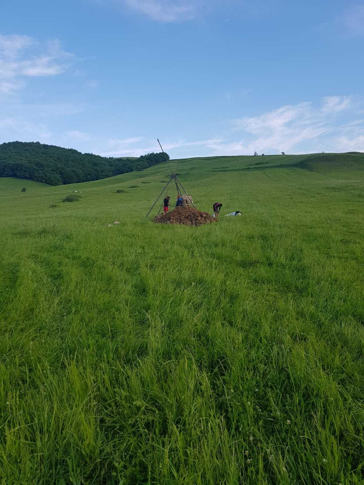 Foraje puturi apa, foraje pentru irigatii, sapare puturi apa