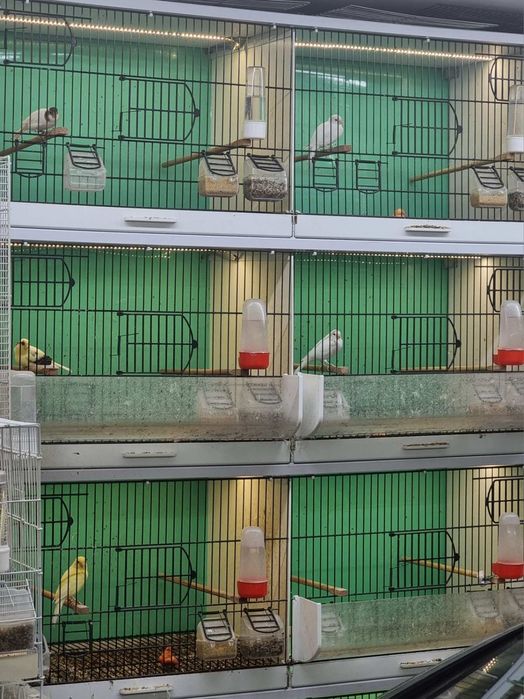 Продавам обучени хибриди