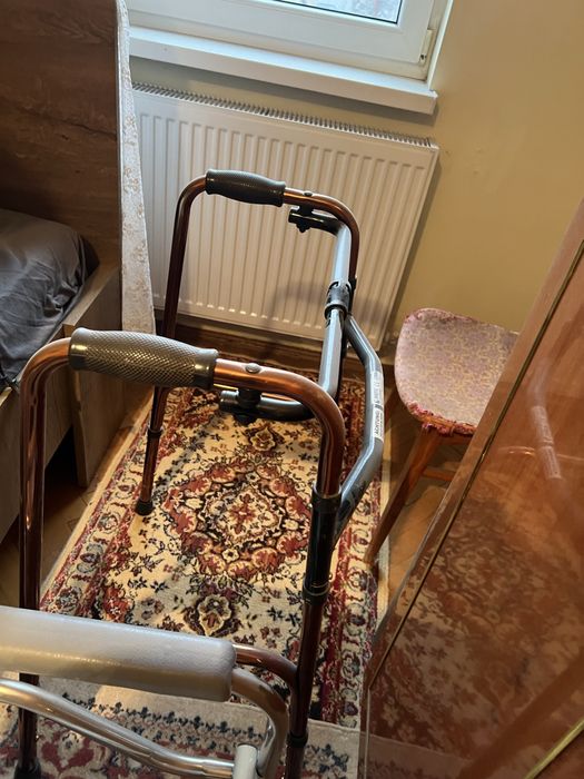 Cadru suport Baston metalic si WC varstnici