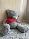 Teddy ayiq мишка