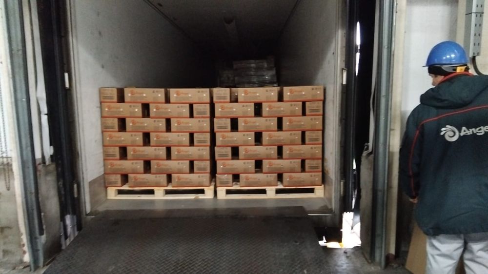 Дрожжи прессованые