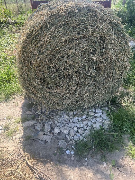 Vand baloti de lucerna
