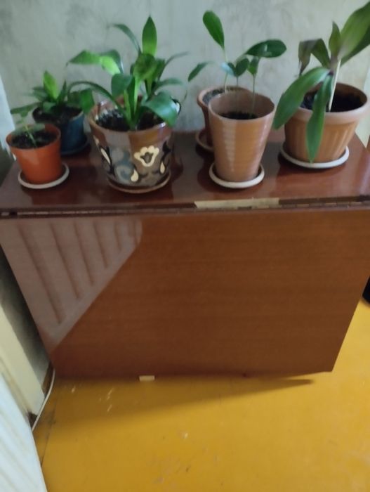 Отдам бесплатно столы,срочно в связи с переездом