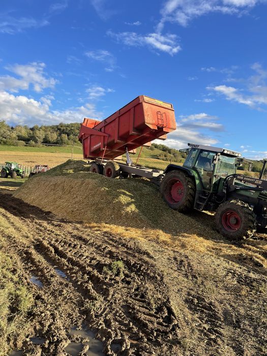 Porumb siloz recolta 2025