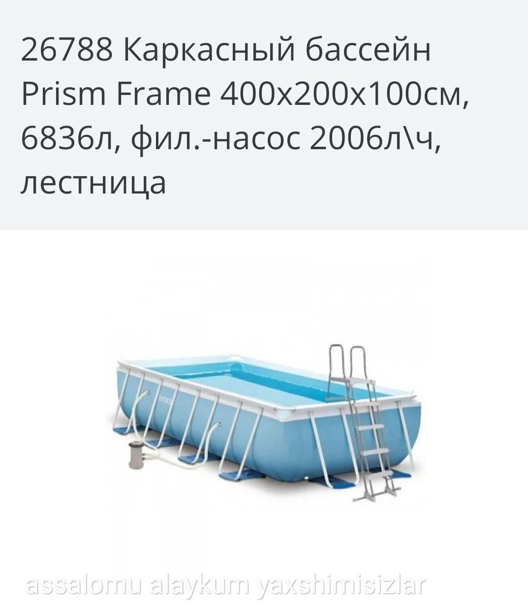 Intex bassen karkasni