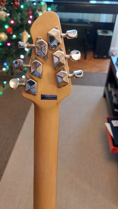 Peavey Raptor special