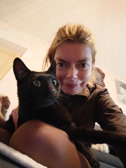 Pet sitter ( plimb caini/vizite pisici)