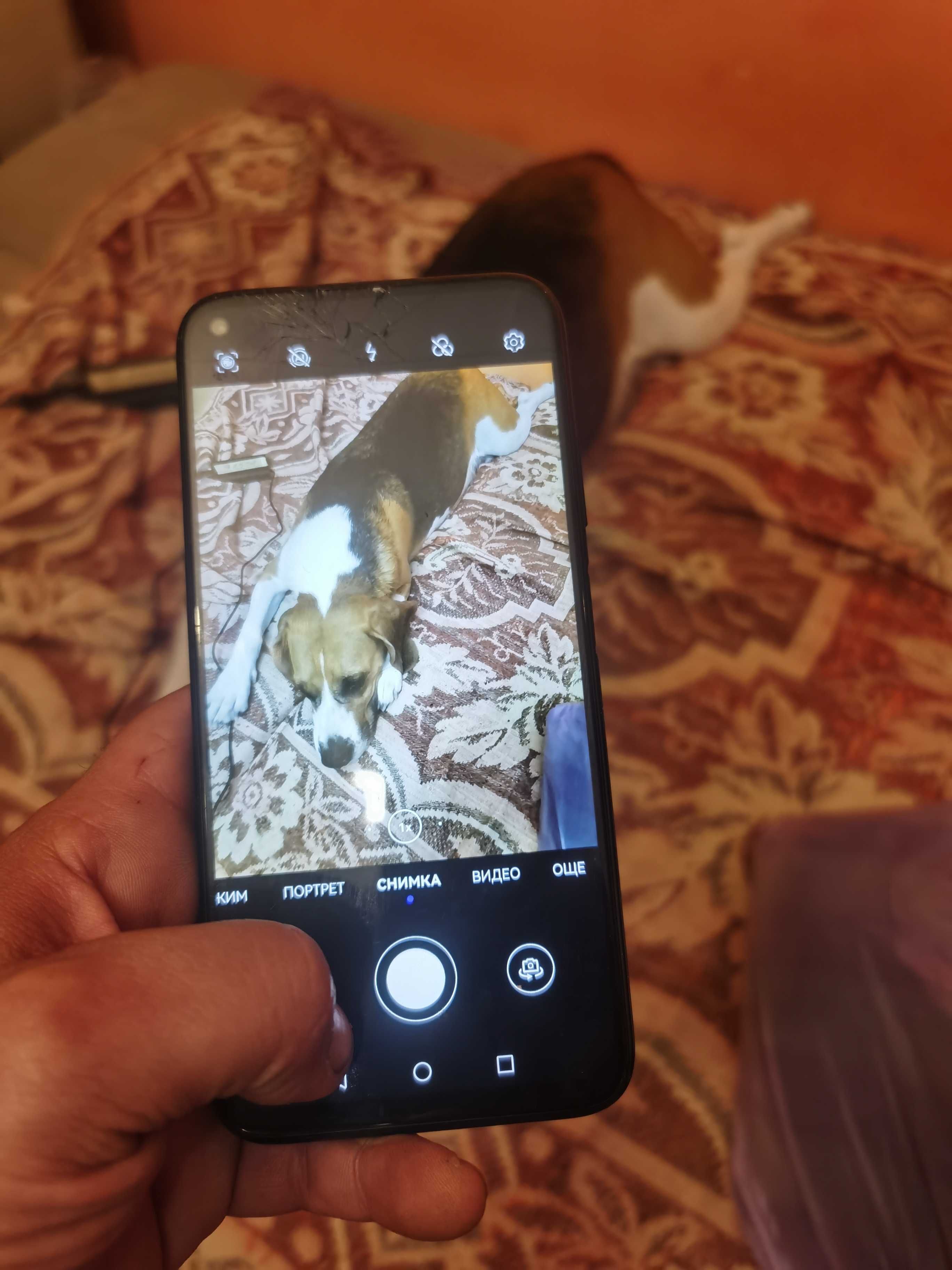 Huawei P 30 lite