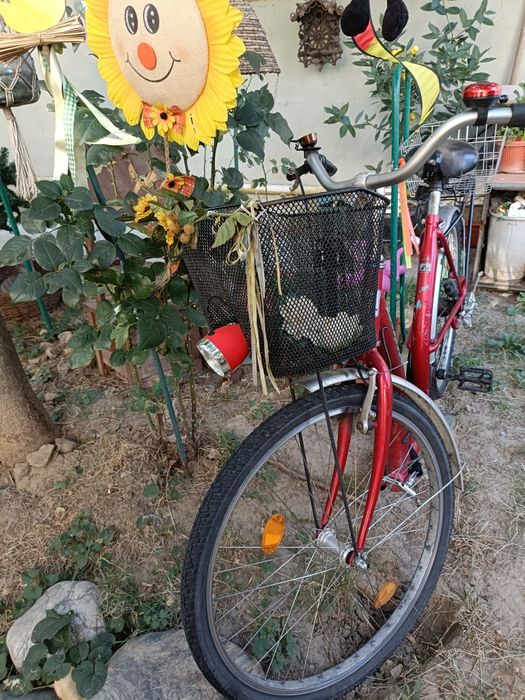 Bicicleta seniori Biria, deosebita