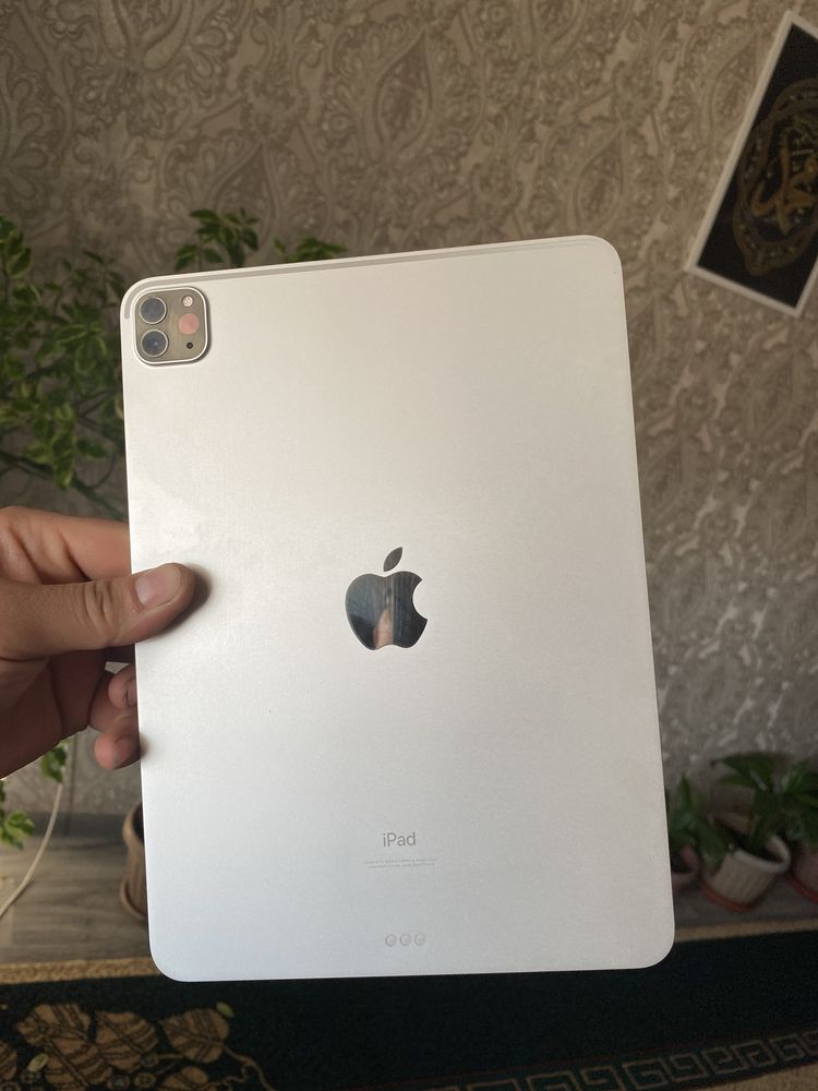 iPad 11 pro 11 дюймов