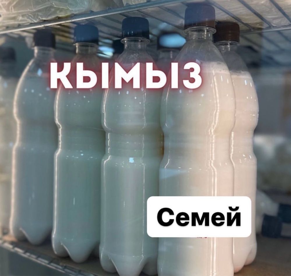 кымыз оптом