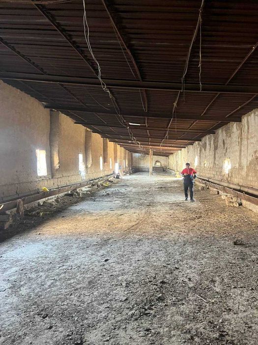 СРОЧНО Чорва комплекси. Молхона, экин, яйлов майдонлари билан сотилади