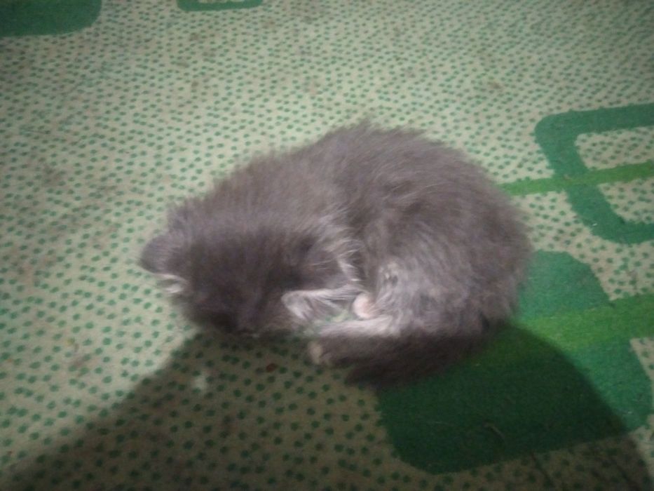 Вы придёте и посмотрите на него если не понравится не берите