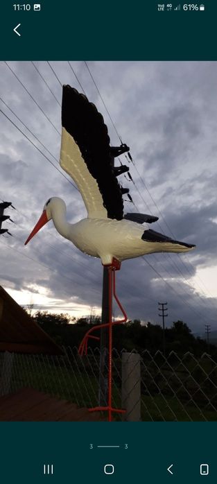 Barza cu aripile deschise