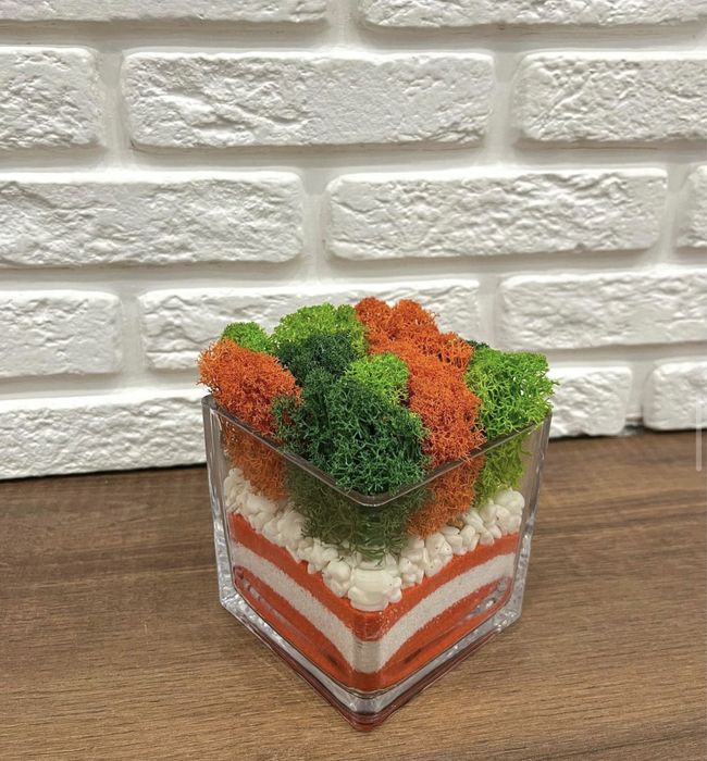 Часовници със скандинавски мъх