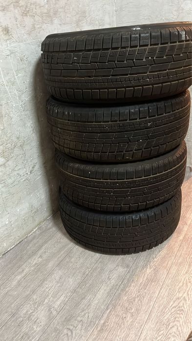 Кыстык донгелек.  235.  55.  19