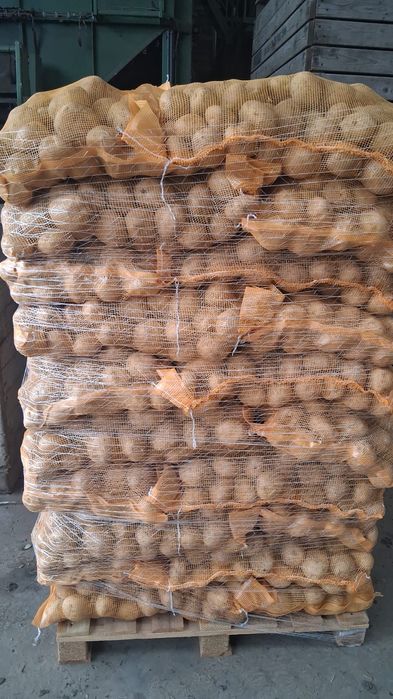 Cartof import Danemarca Polonia Germania