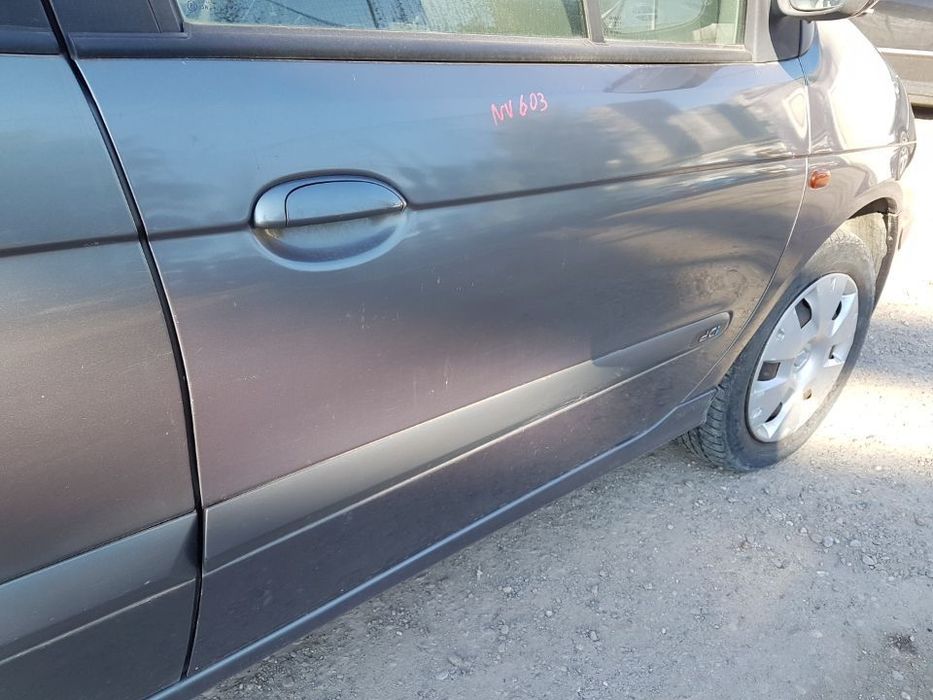 Usa / Portiera Dreapta Fata Renault Scenic 1 1997 - 2003 Cod Culoare: NV603