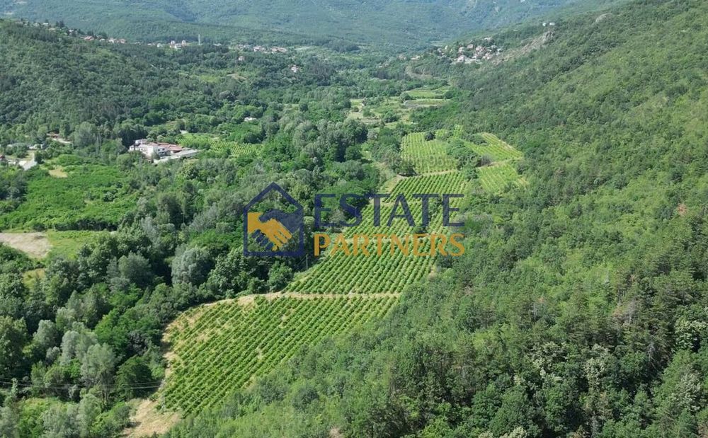 Земеделски имот в Пловдив, област-с.Храбрино площ 68188 цена 681880