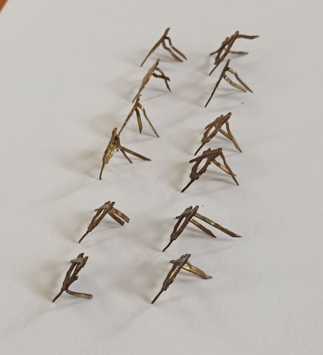 Lot 12 semne de Armă