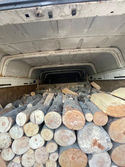 Vand lemne de foc esenta fag gata taiate