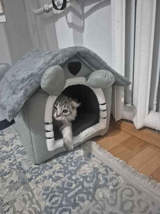 Продам домик для кошки