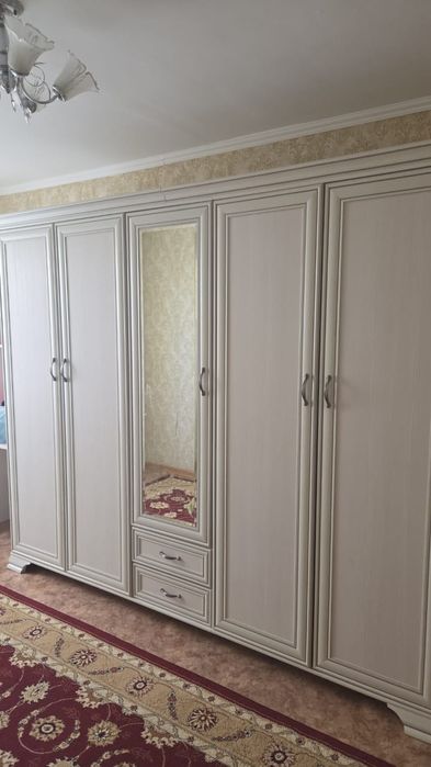 Шкаф 5. есікті ұзындығы 2.55 биікті 2.10мтгі  2.10 мт
