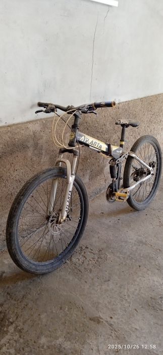 Velik sotiladi 200 ming xarajat qilsa chotki buladi narhi