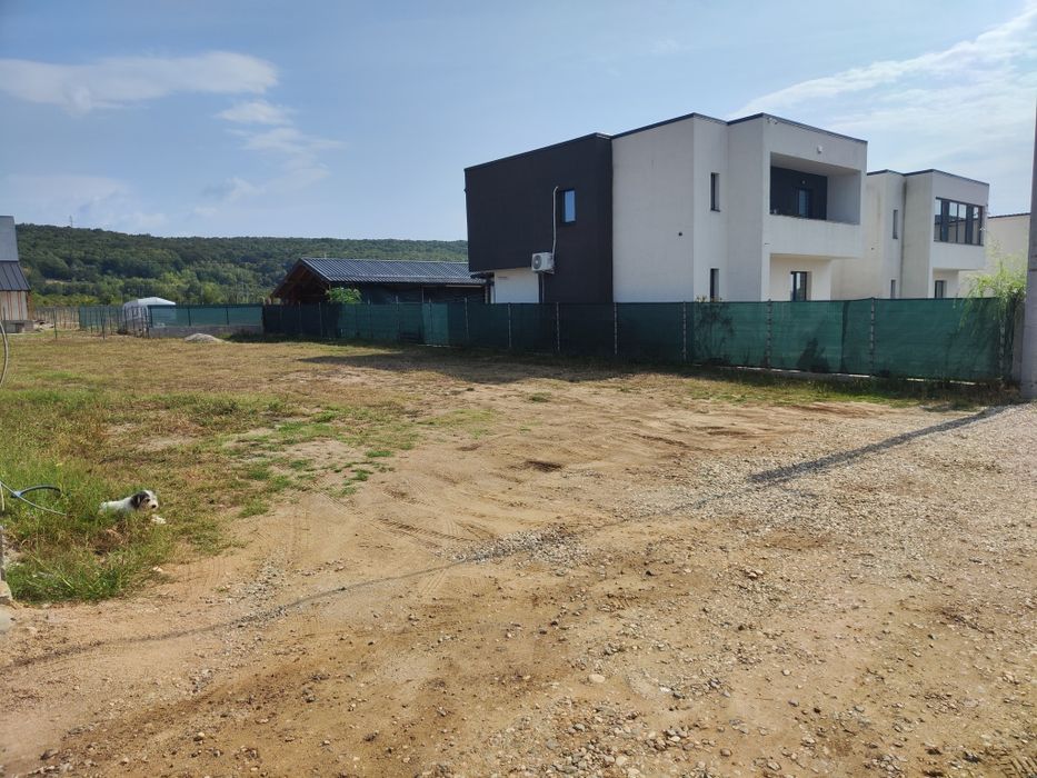 Teren vânzare intravilan