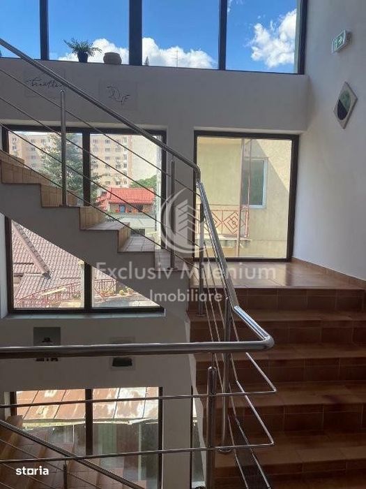 Vila Ferdinand - Iancului Birouri / Activitati Comerciale