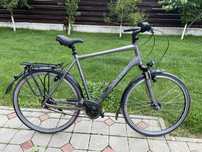Bicicleta Raleigh unico xxl,28