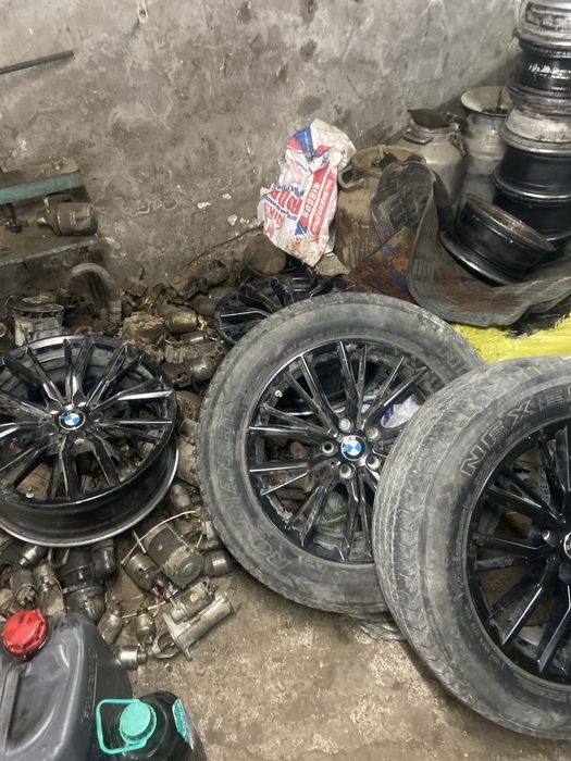 xolati zor 1 2 kichkina petno bor
