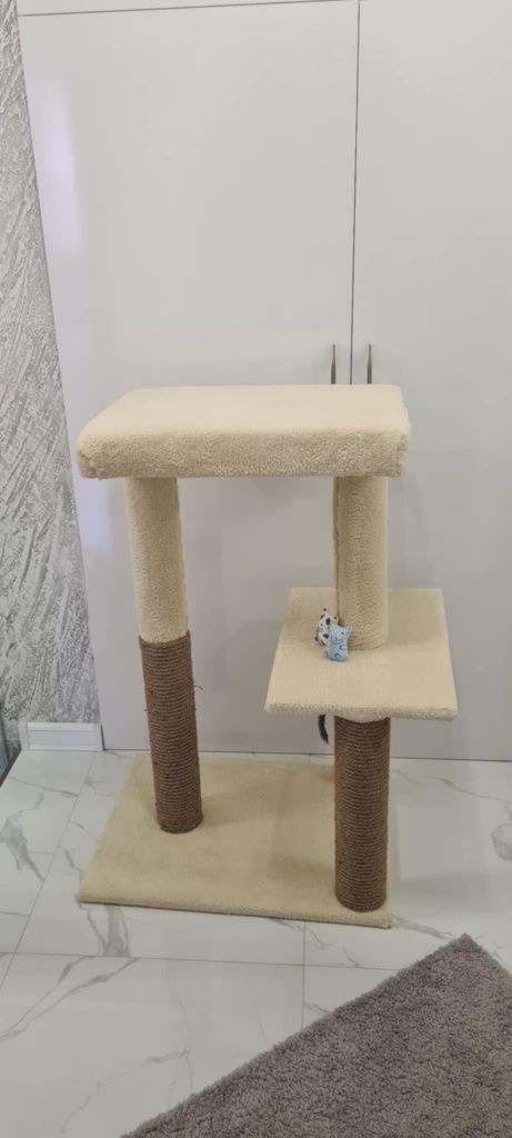 Котешка катерушка