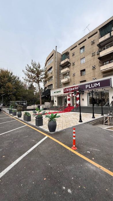 B&B, Французское посольство | 250кв - нежилое помещение вдоль дороги П